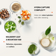 Enlarge image of Sulwhasoo Gentle Cleansing Foam, facial cleanser, ingredient focus