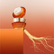 Enlarge image of Concentrated Ginseng Rejuvenating Cream, korean cream, ingredient shot with ginseng