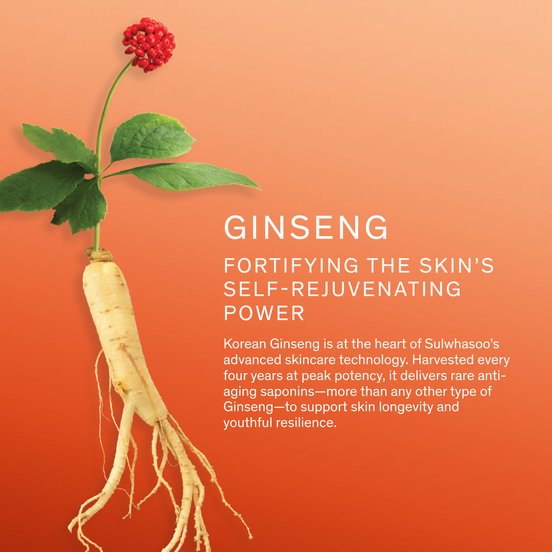 Sulwhasoo ginseng ingredient focus