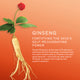 Enlarge image of Sulwhasoo ginseng ingredient focus